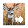 Deer Calls icon