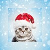 Pictogramă Christmas Pho.to Frames