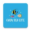 Calm Sea Life icon