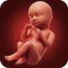 Biểu tượng Pregnancy Calculator