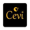 Icon von Cevi - Passageiro