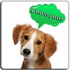 Dog translator icon