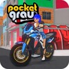 Icono de Pocket Grau