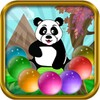 Panda POP Shooter icon