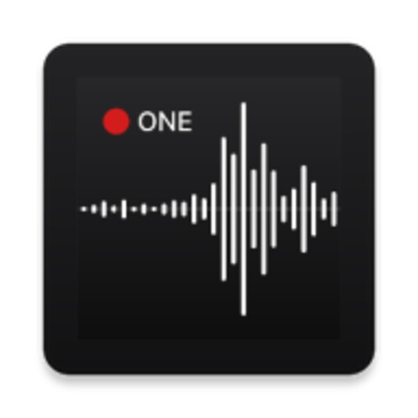 Voice Recorder & Transcriber for Android - Download the APK from Uptodown