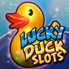 Lucky Duck icon