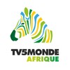 TV5MONDE AFRIQUE icon