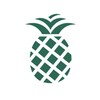 PineApp icon