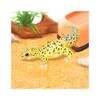 Icono de Gecko