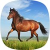 Horse Sounds icon