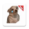 Stickers Dog Memes icon