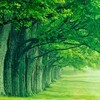 Green Nature HD Wallpaper icon