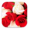 Roses Stickers for WhatsApp icon