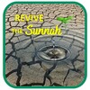 Icono de Revive The Sunnah