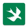 Rain Bird icon