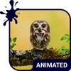 Baby Owl Animated Keyboard + Live Wallpaper icon
