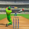 Cricket Smash Arena आइकन