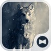 Fantasy Wolf icon