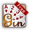 Net Gin Free icon