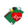 Pi HealthCheck icon