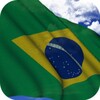 Brazil Flag icon