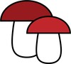 Mushroom identification from p icon