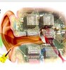 Икона Digital Ear