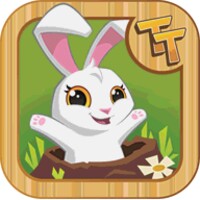 Tunnel Townapp icon