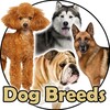 أيقونة Dog Breeds Golden Retriever | Rottweiler