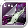 Splashing Waterfalls Live Wallpaper icon