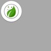 Icono de Plantas Medicinales