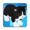 Kitten Infinite Stair icon