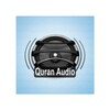 Quran Audio Mahir Al Muayqali icon