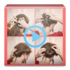 Hairstyle Videos icon