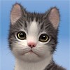 My Cat icon