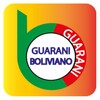 Guaraní boliviano icon