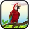 Real Talking Parrot आइकन