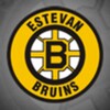 Bruins icon