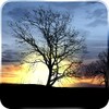 Silhouette Free आइकन