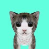 Cat Simulator Online icon