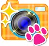 Petcamera icon