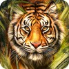 Tiger Wallpapers आइकन