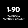 Tambola Number Caller (Housie) icon