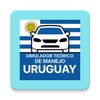 Teórico de Manejo icon