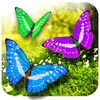 Butterflies live wallpaper icon