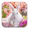 Puzzle - Carino coniglietti icon