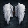 Angels Wallpapers icon