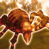 Biểu tượng Hideous Spider Simulator