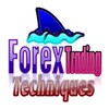 Forex Trading Techniques icon
