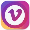 Pictogramă VidStatus